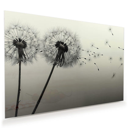 Wandbild mit dem Motiv Pusteblume in Sepia