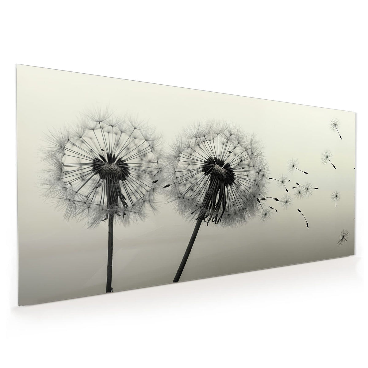 Küchenrückwand aus Glas im Hochformat: Zwei Pusteblumenköpfe im Gegenlicht, Schwarz-Weiß mit Sepiaton