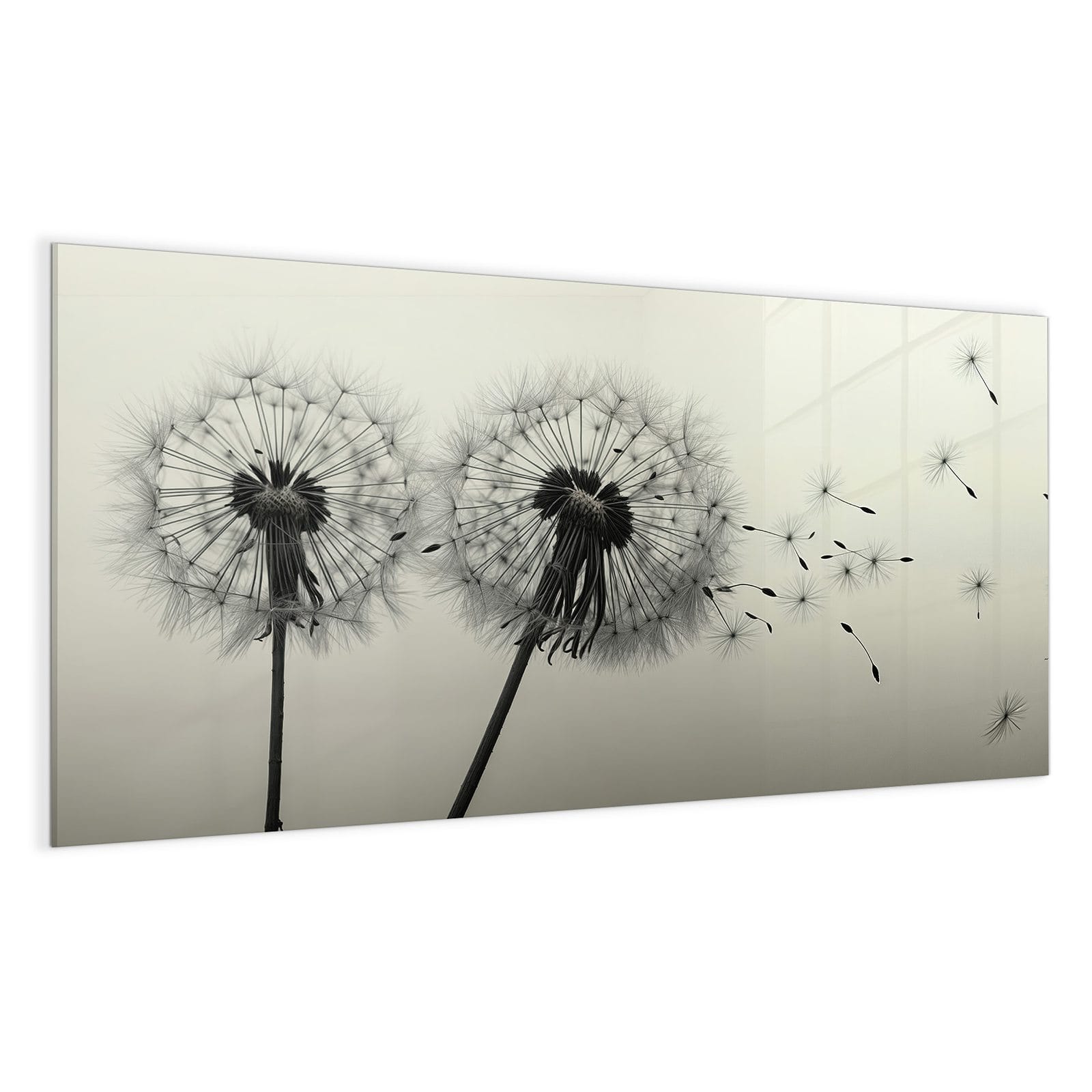 #grösse_100 x 50 cm