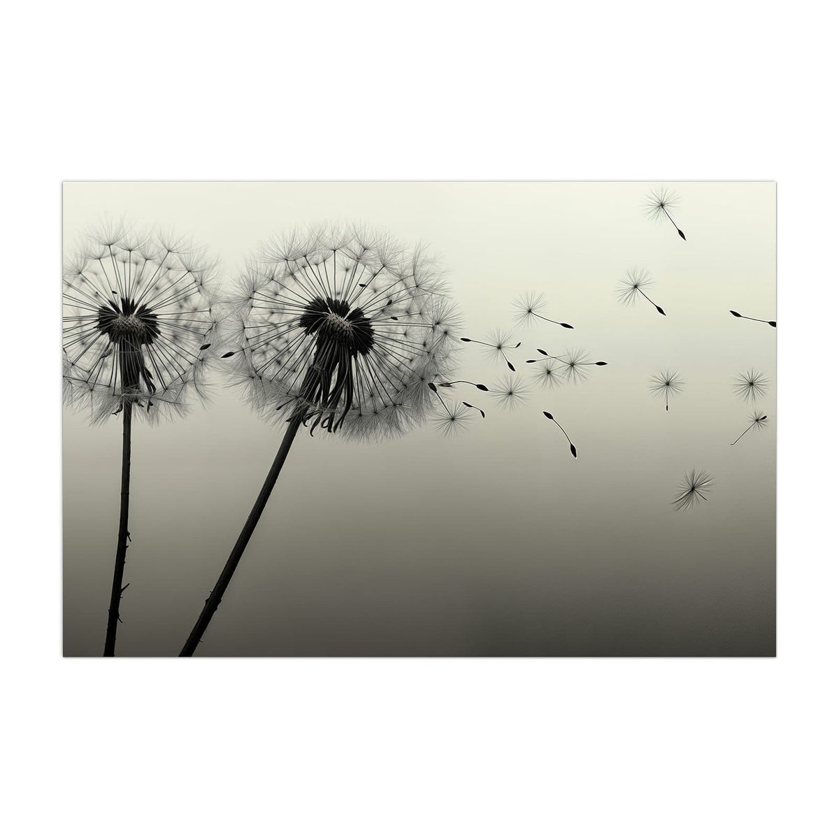 Küchenrückwand aus Glas Pusteblume in Sepia im Hochformat, Motiv bildfüllend von vorn