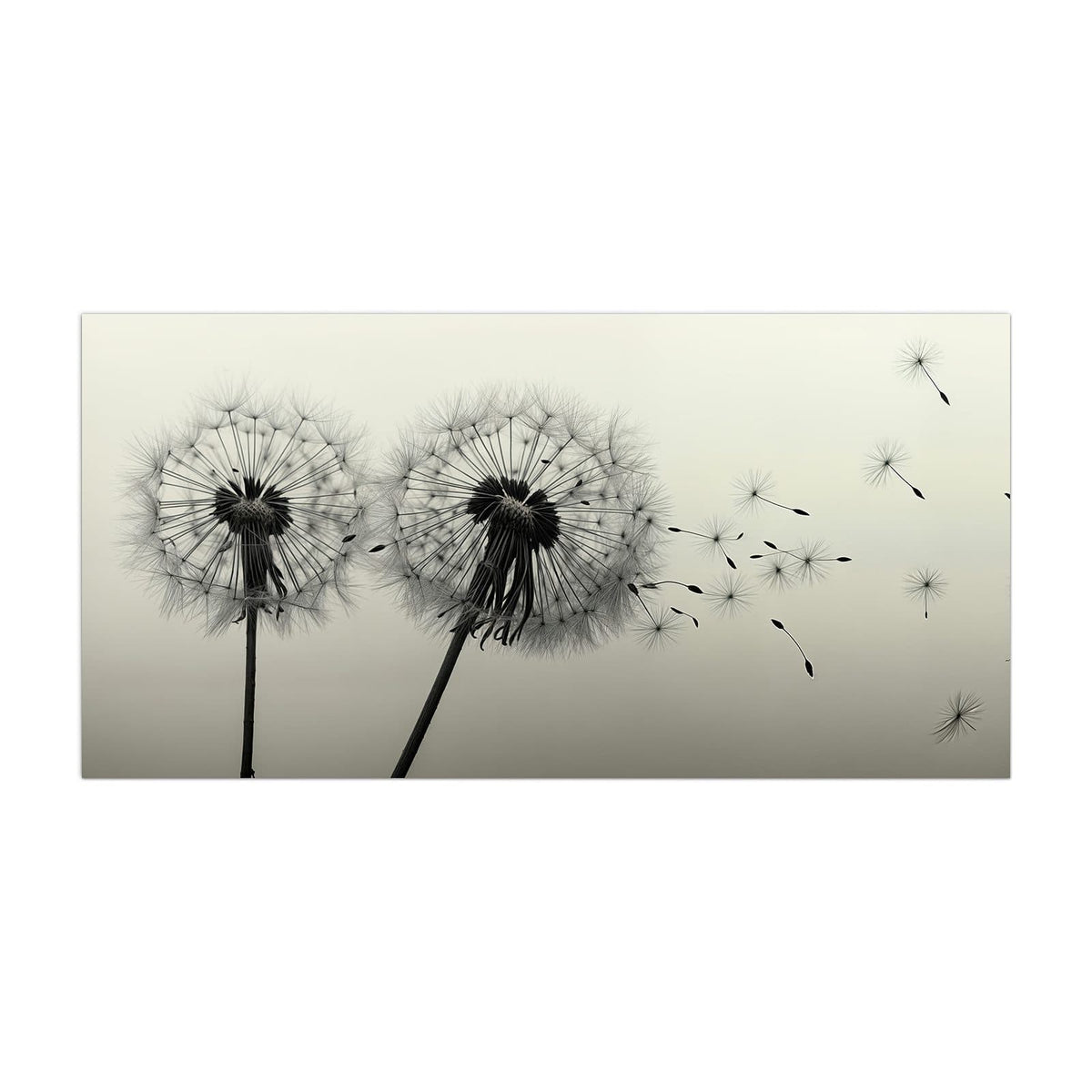 Küchenrückwand aus Glas Pusteblume in Sepia im Hochformat, Motiv bildfüllend von vorn