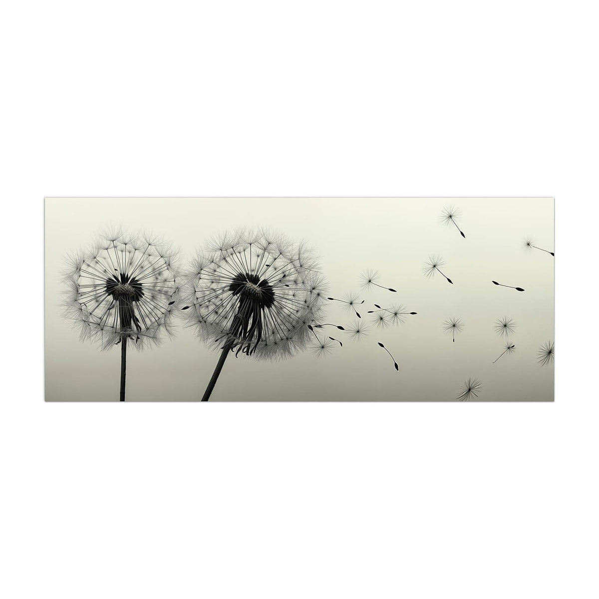 Küchenrückwand aus Glas Pusteblume in Sepia im Hochformat, Motiv bildfüllend von vorn