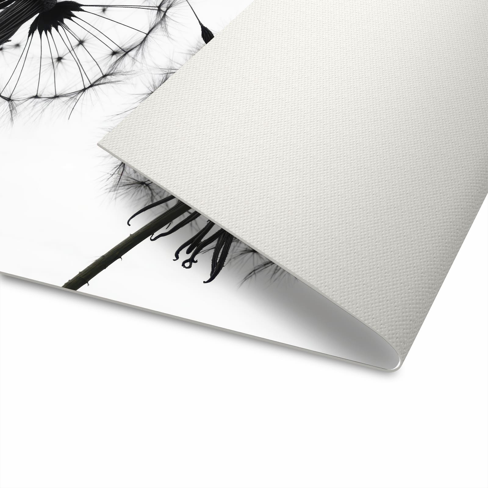 Küchenläufer - Pusteblumen