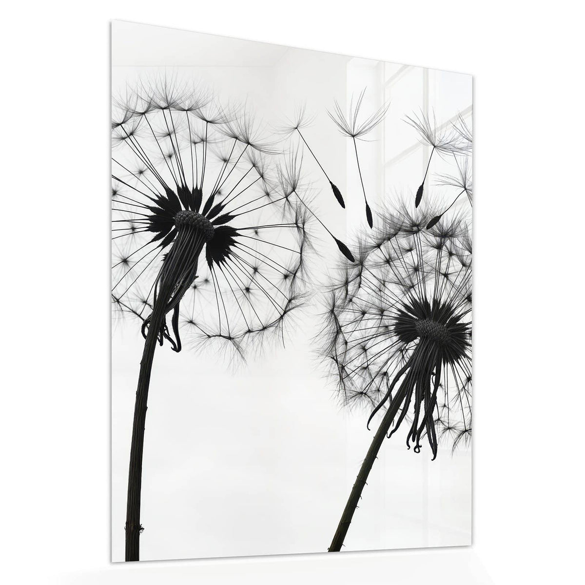 Echtglas, 4 mm – kein Acryl, keine Folie – Wandbild - Pusteblumen in Grau - Hochformat