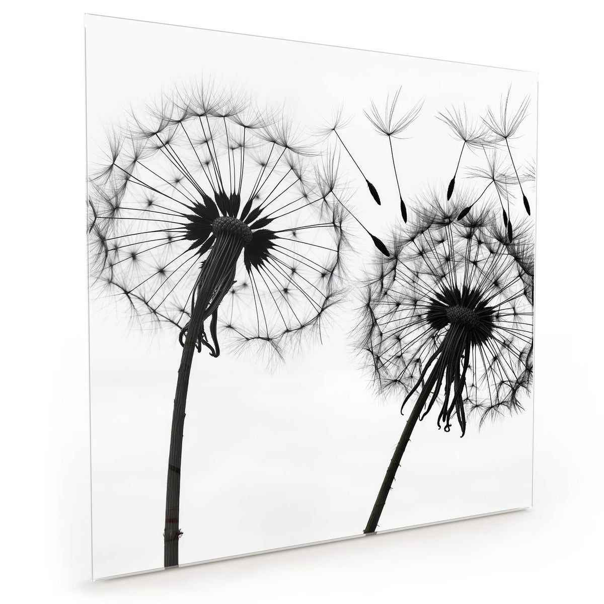 #grösse_40 x 40 cm #grösse_50 x 50 cm #grösse_60 x 60 cm