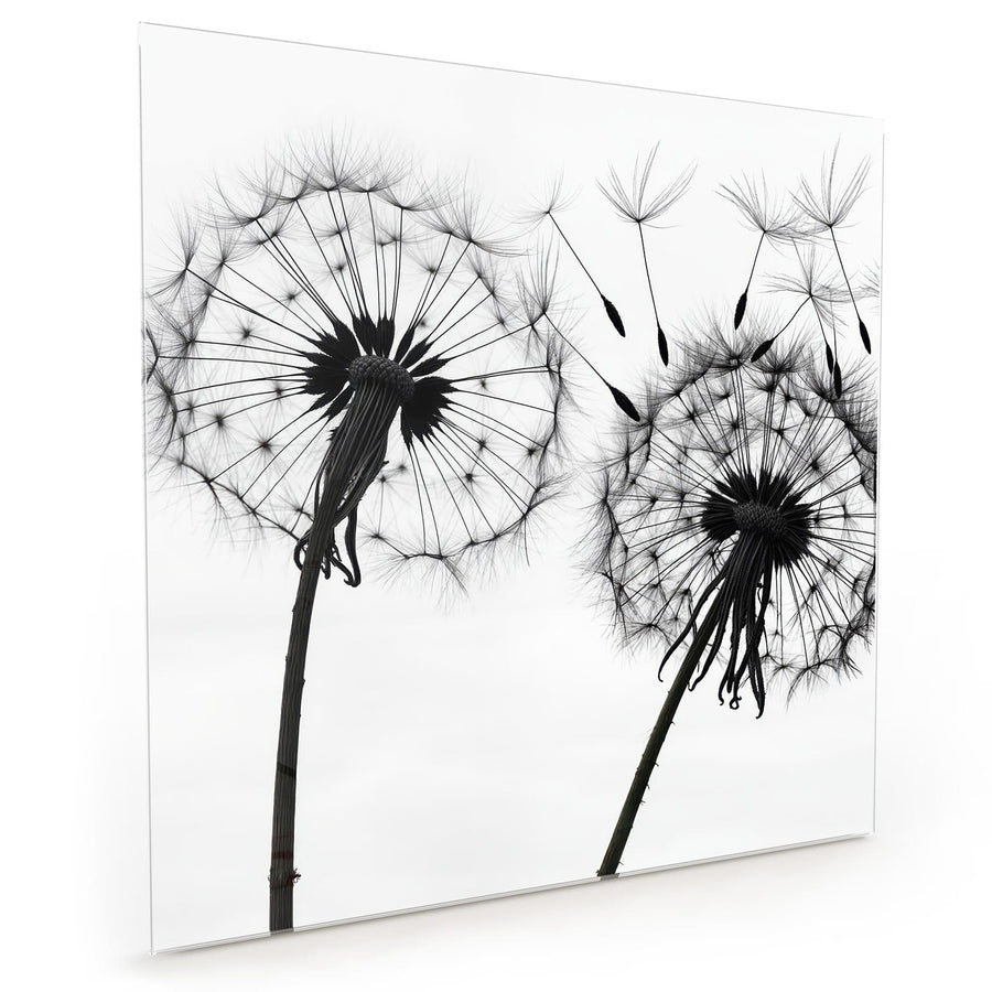 Maße Küchenrückwand Pusteblumen in Grau aus Glas