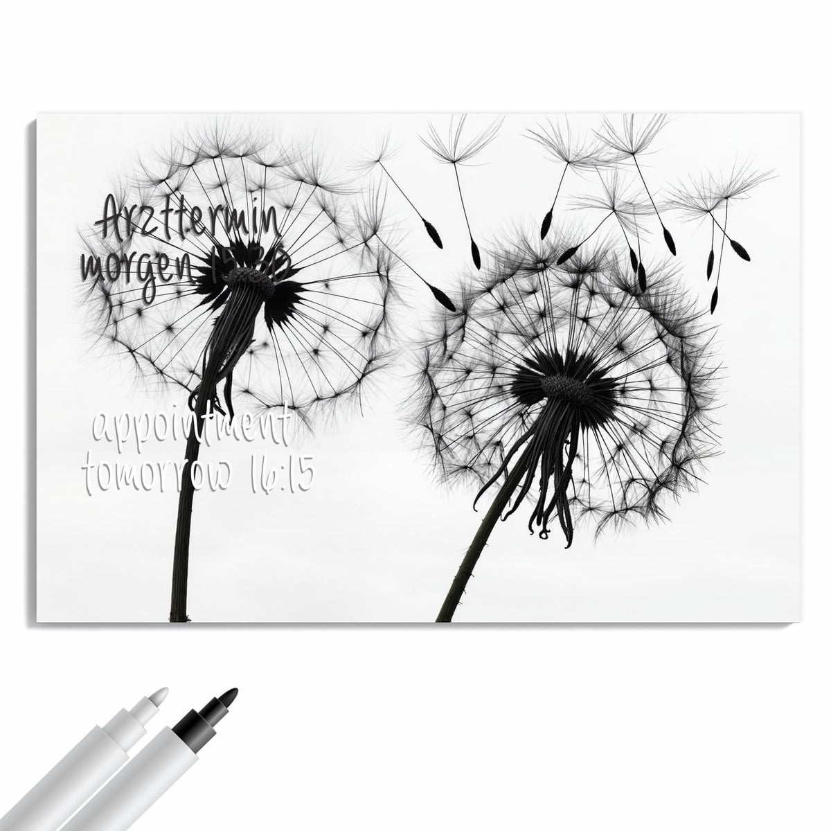 Beschreiben, abwischen, anheften – Metall Magnettafel - Pusteblumen in Grau
