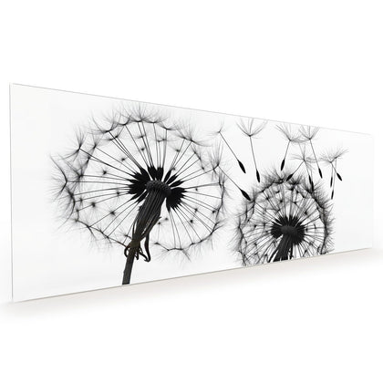 Küchenrückwand mit dem Motiv Pusteblumen in Grau