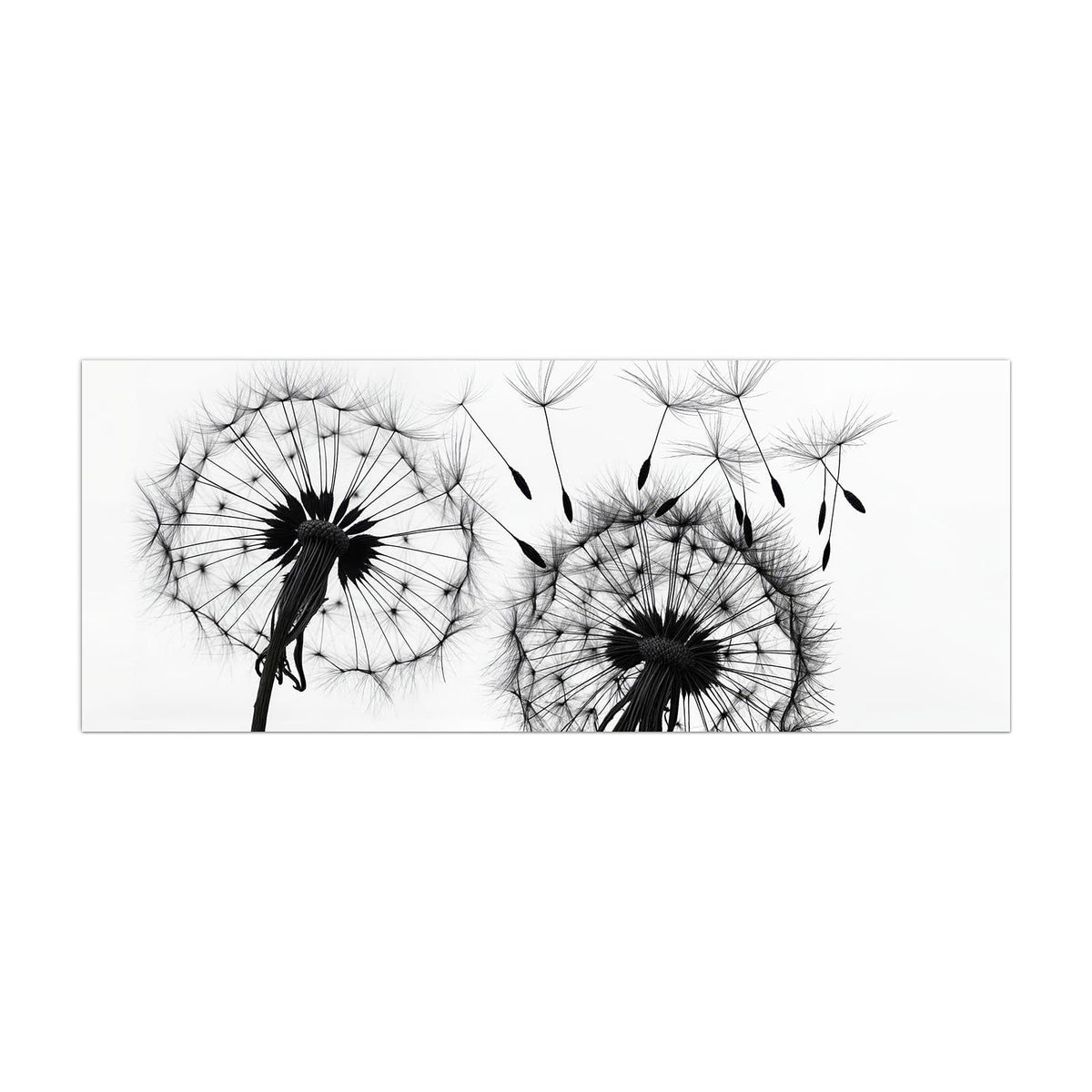 Küchenrückwand aus Glas Pusteblumen in Grau im Hochformat, Motiv bildfüllend von vorn