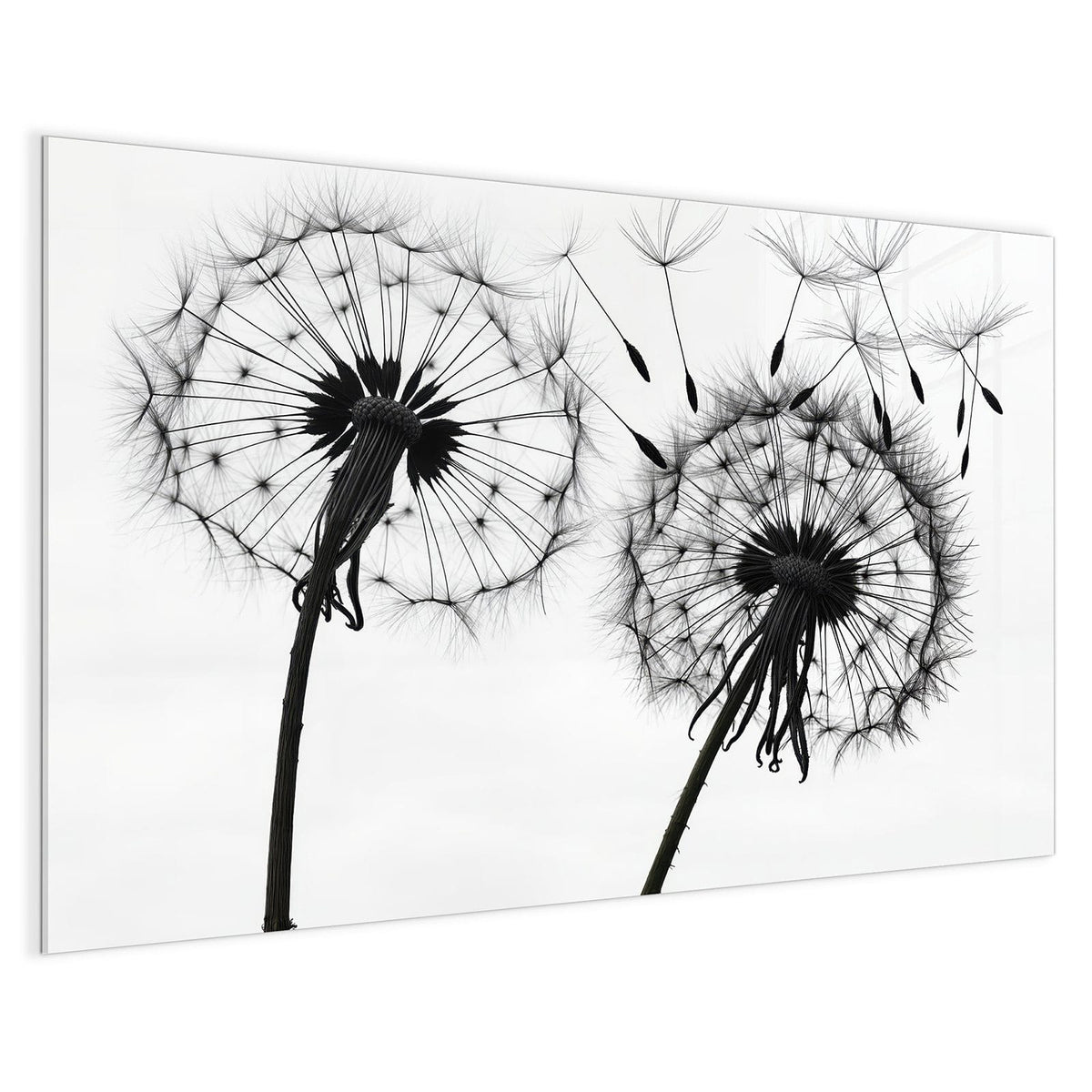 4 mm Glas statt lackiertem Blech – Magnettafel - Pusteblumen in Grau