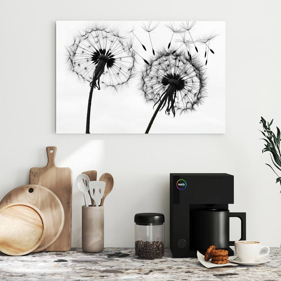 Maße Metall Magnettafel - Pusteblumen in Grau