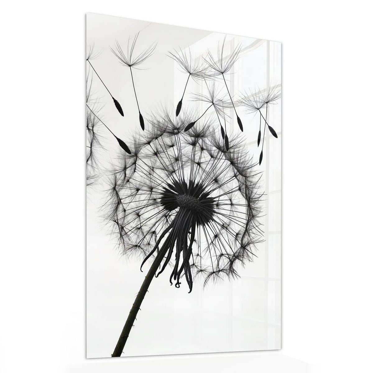 11 Größen – von 30 × 60 bis 60 × 150 cm – Wandbild - Pusteblumen in Grau - Hochformat
