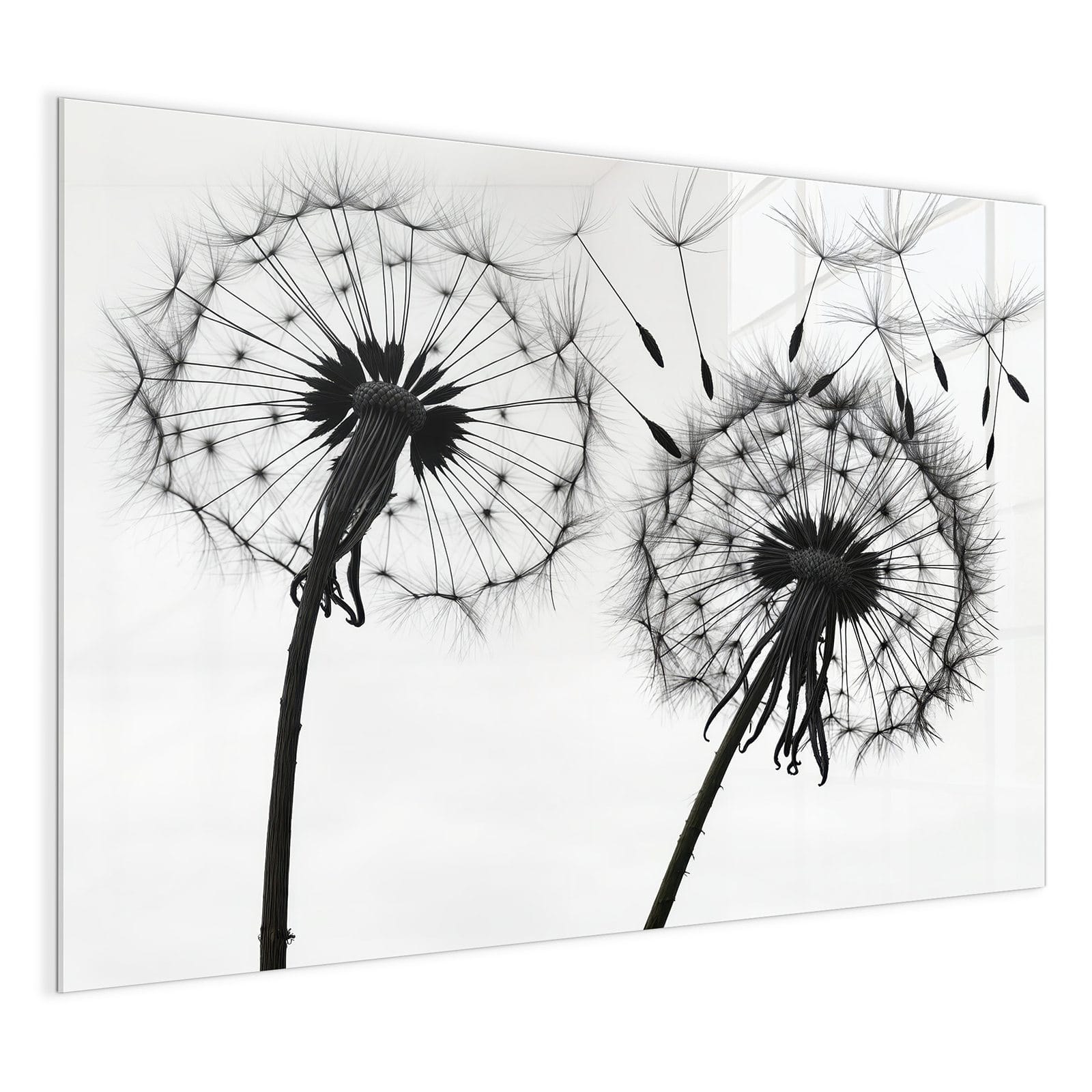 #grösse_120 x 90 cm