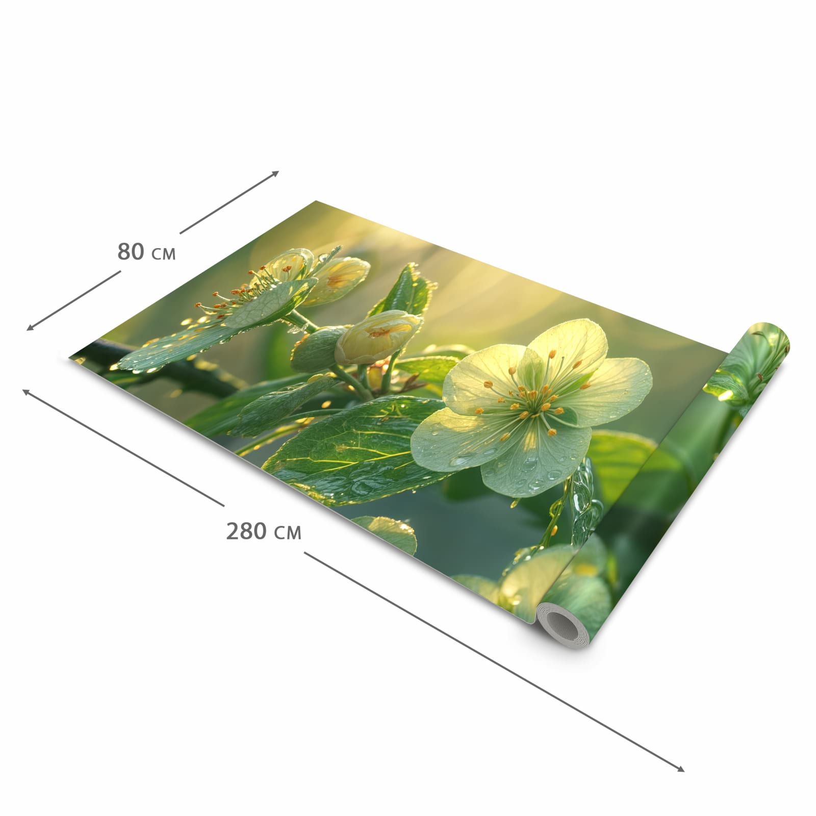 #grösse_80 x 280 cm