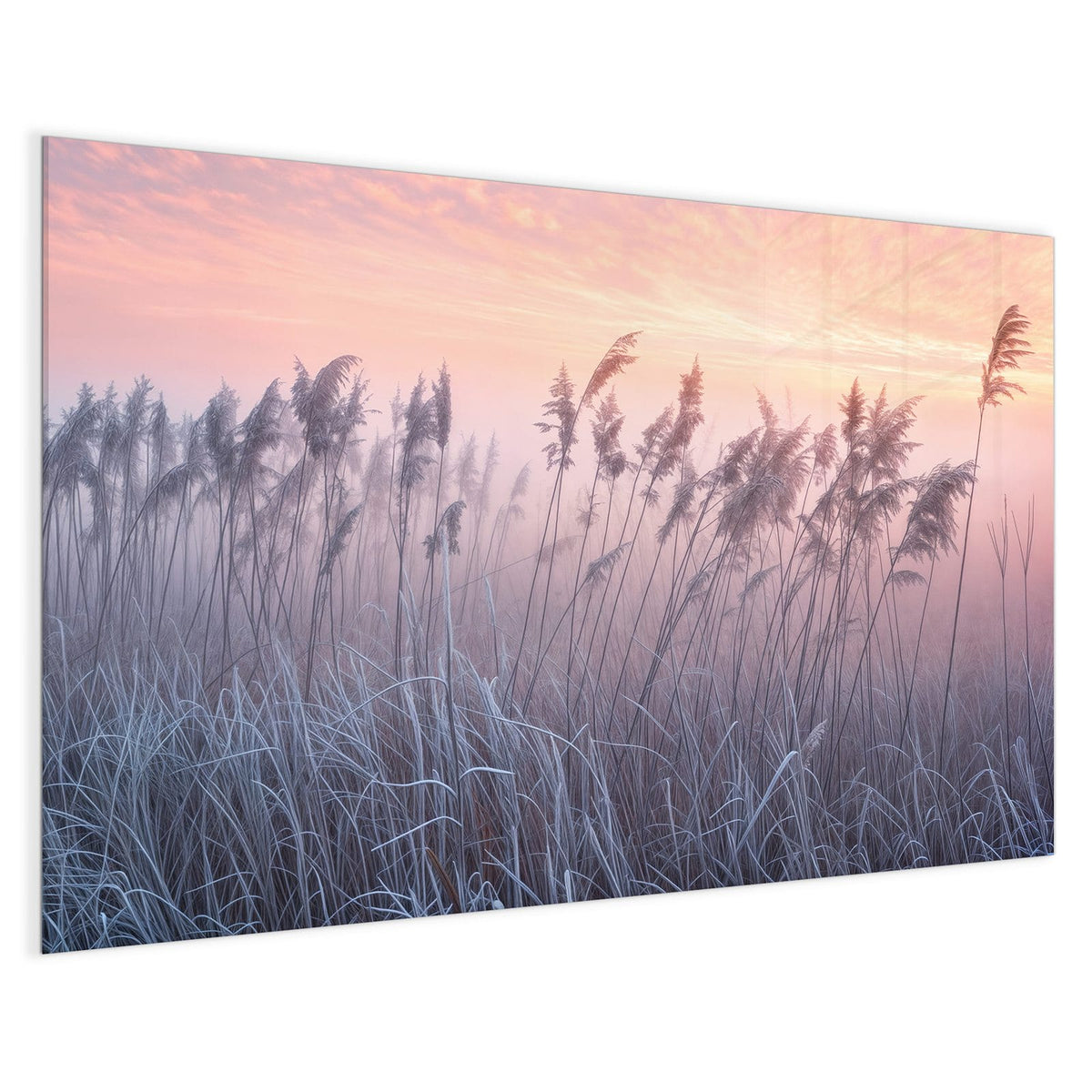 4 mm Glas statt lackiertem Blech – Magnettafel - Schilf im Morgenrot