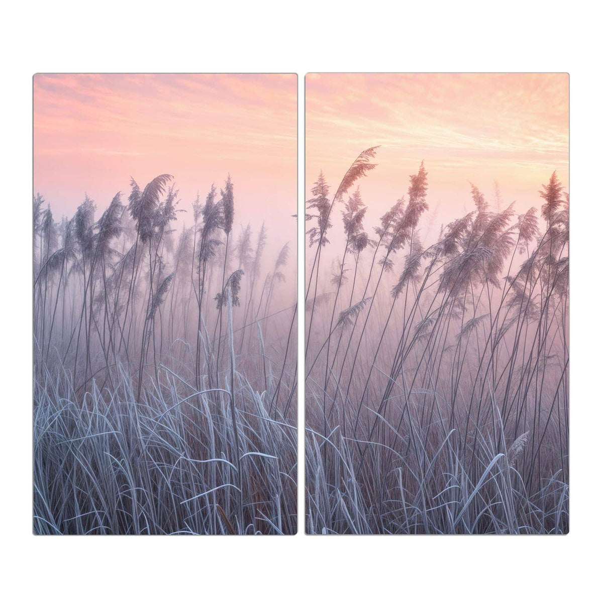 Schilfrispen und frostiges Gras vor rosa-orangem Himmel, im Hintergrund liegt deutlich Bodennebel
