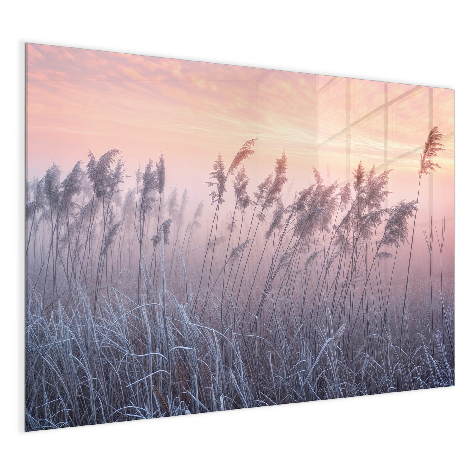 #grösse_120 x 90 cm