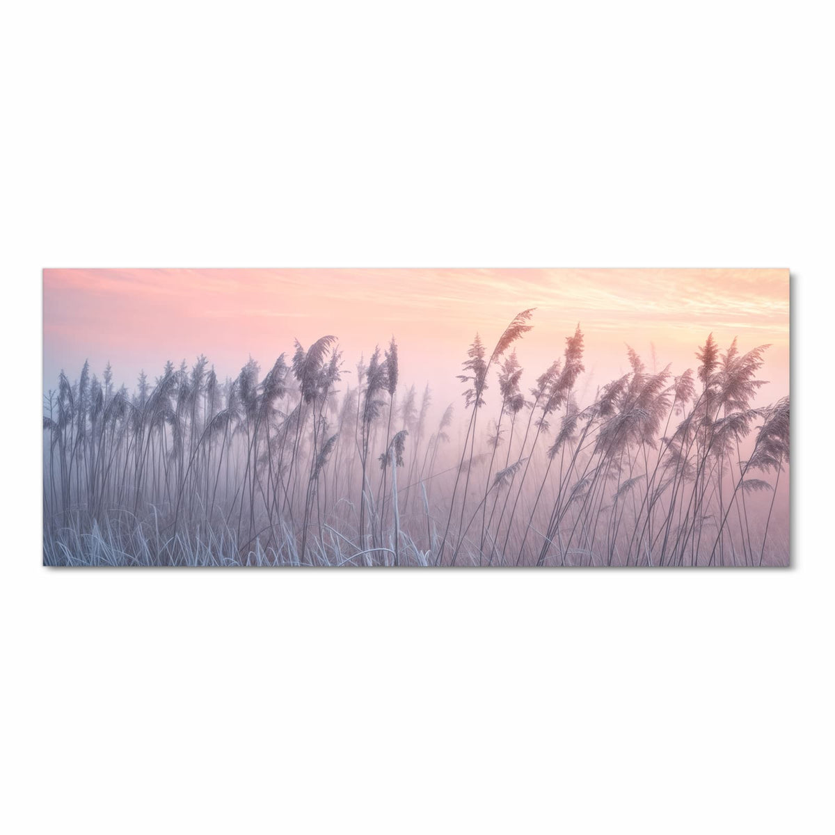 Schilfrispen und frostiges Gras vor rosa-orangem Himmel, im Hintergrund liegt deutlich Bodennebel