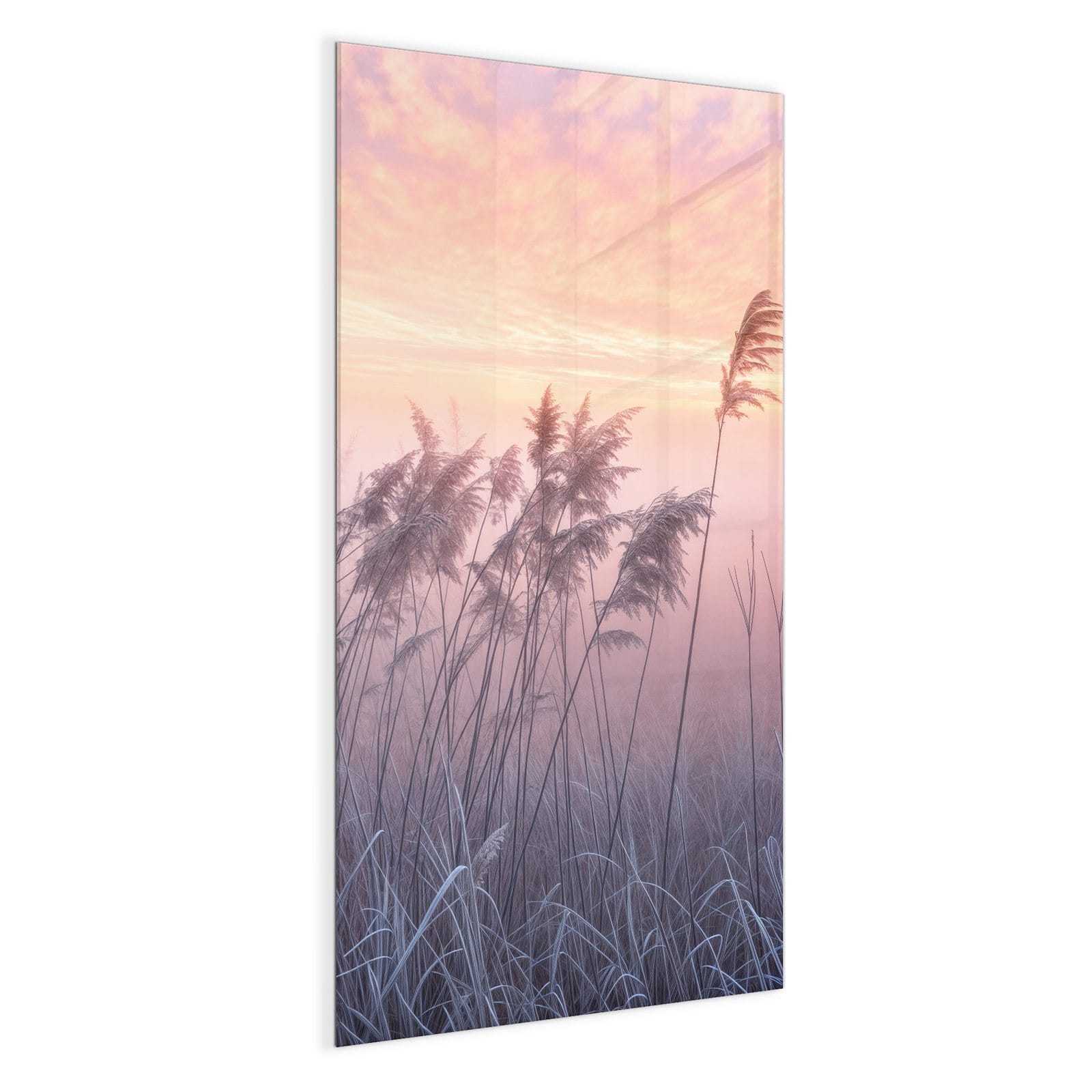 #grösse_50 x 100 cm