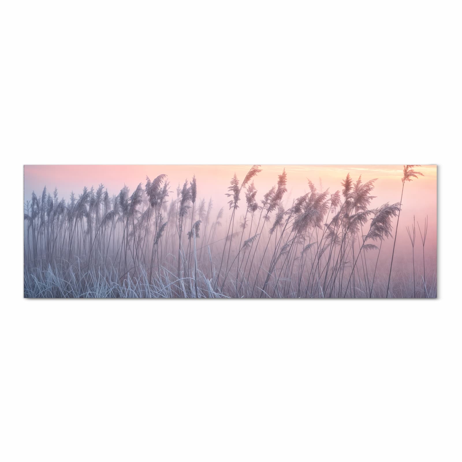 #grösse_80 x 250 cm