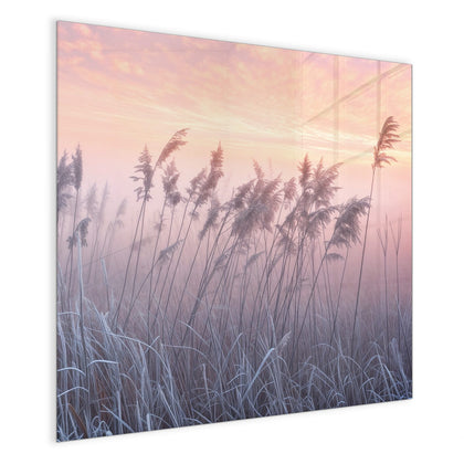 Magnettafel mit dem Motiv Schilf im Morgenrot