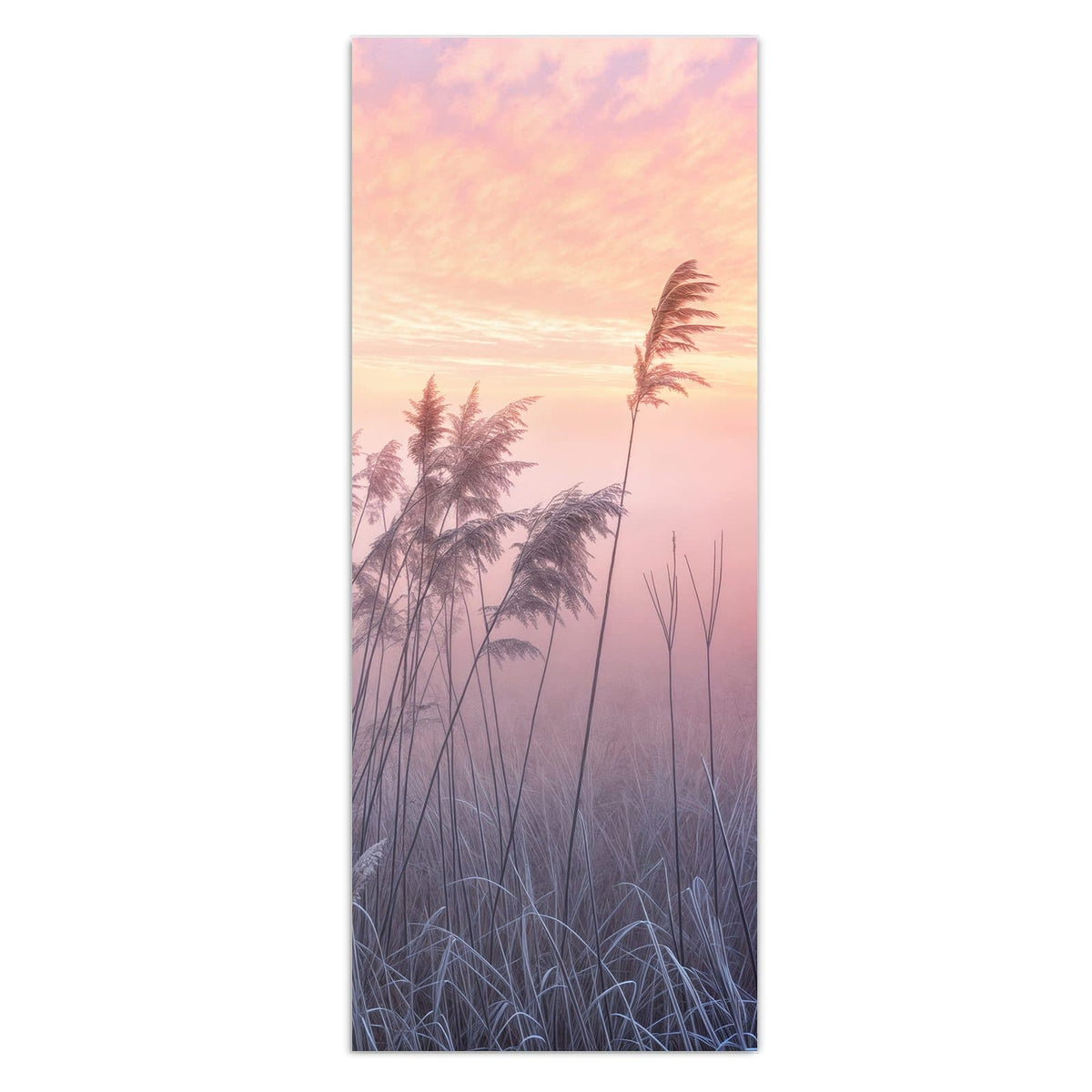 Schilfrispen und frostiges Gras vor rosa-orangem Himmel, im Hintergrund liegt deutlich Bodennebel