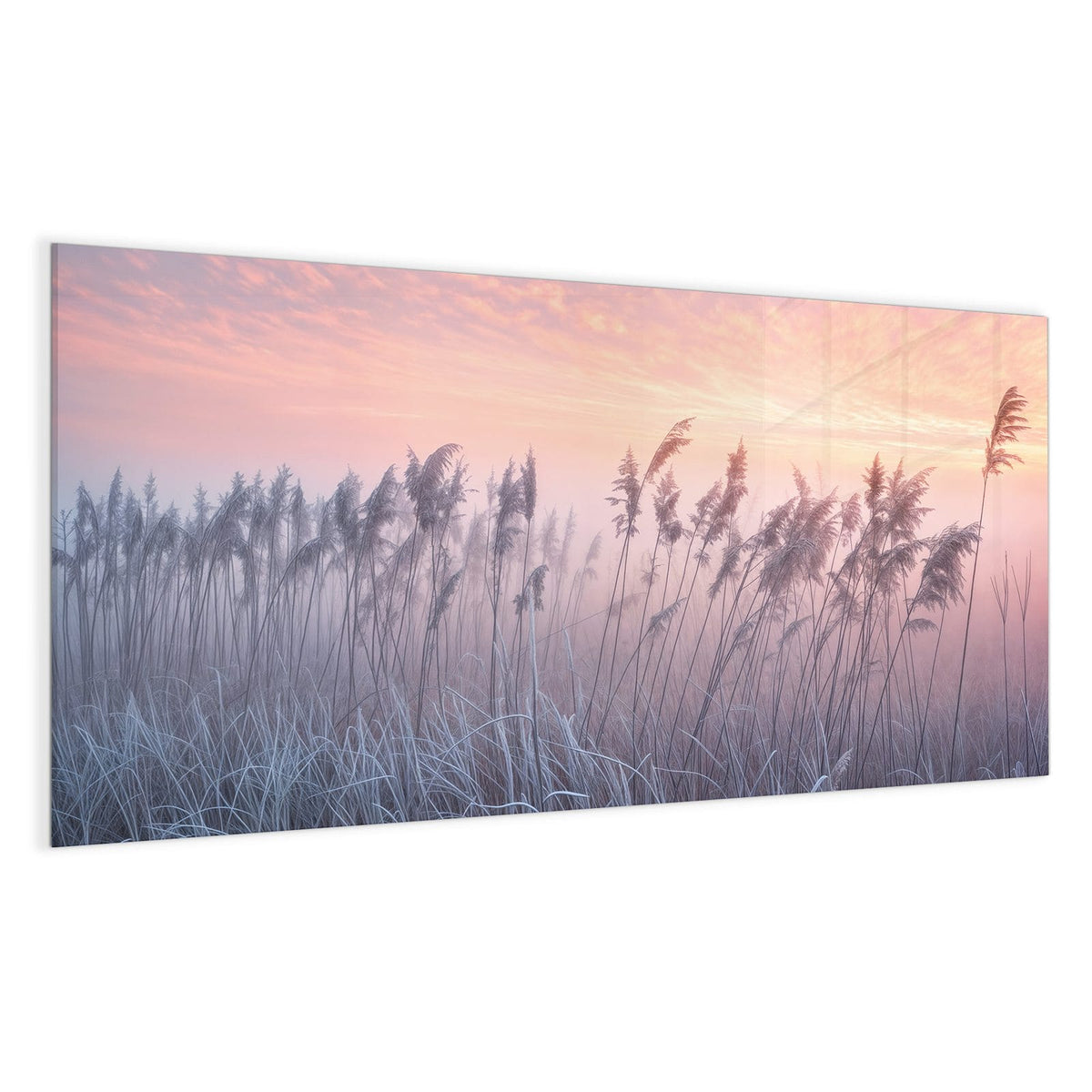 Schilfrispen und frostiges Gras vor rosa-orangem Himmel, im Hintergrund liegt deutlich Bodennebel