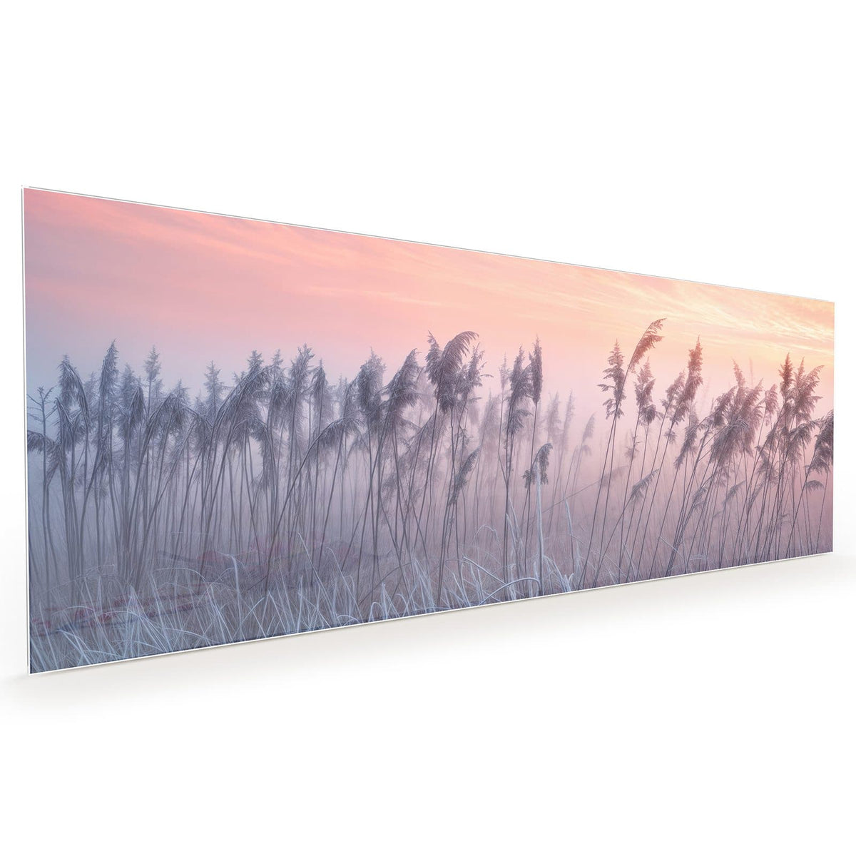 #grösse_40 x 100 cm #grösse_50 x 125 cm #grösse_60 x 150 cm