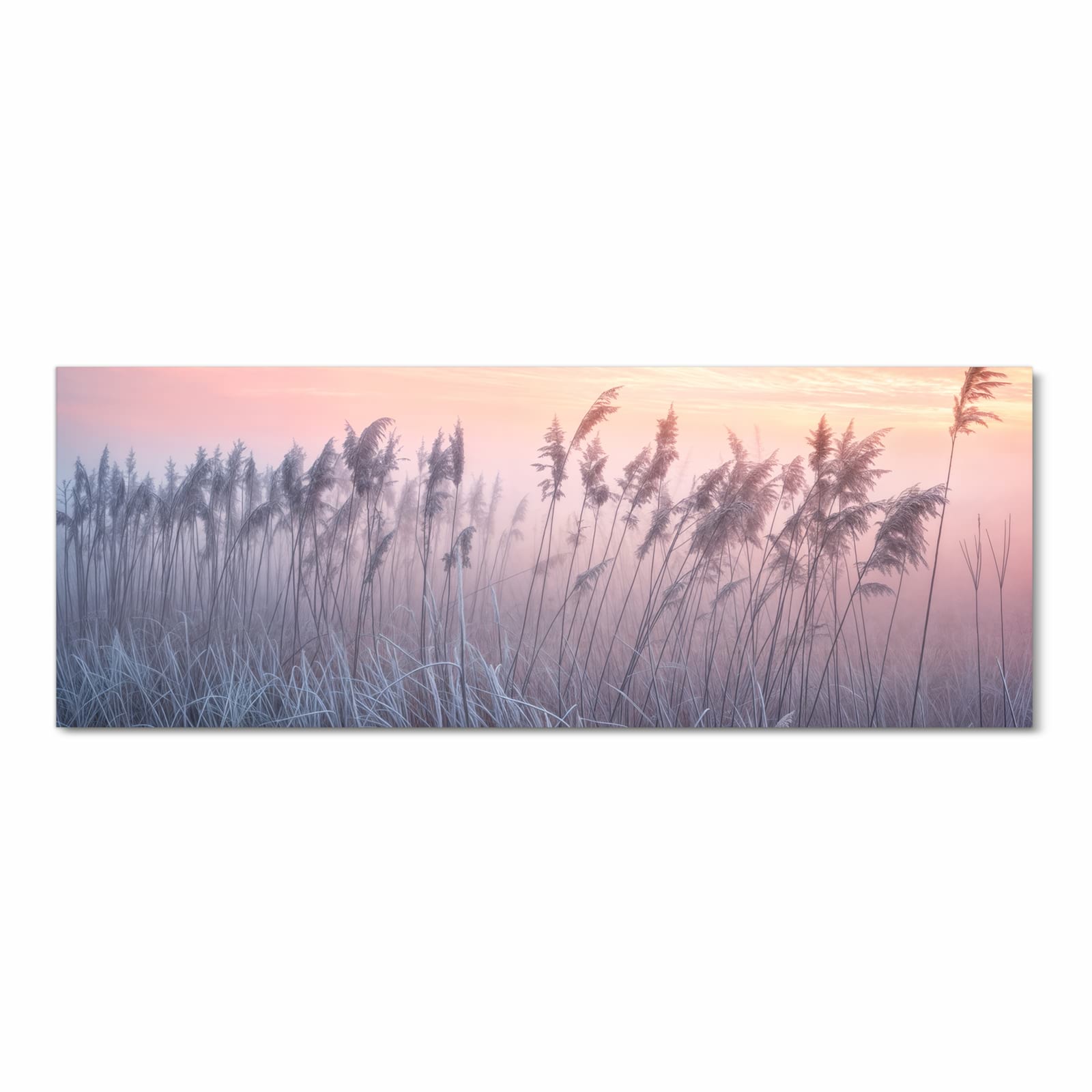 #grösse_90 x 240 cm