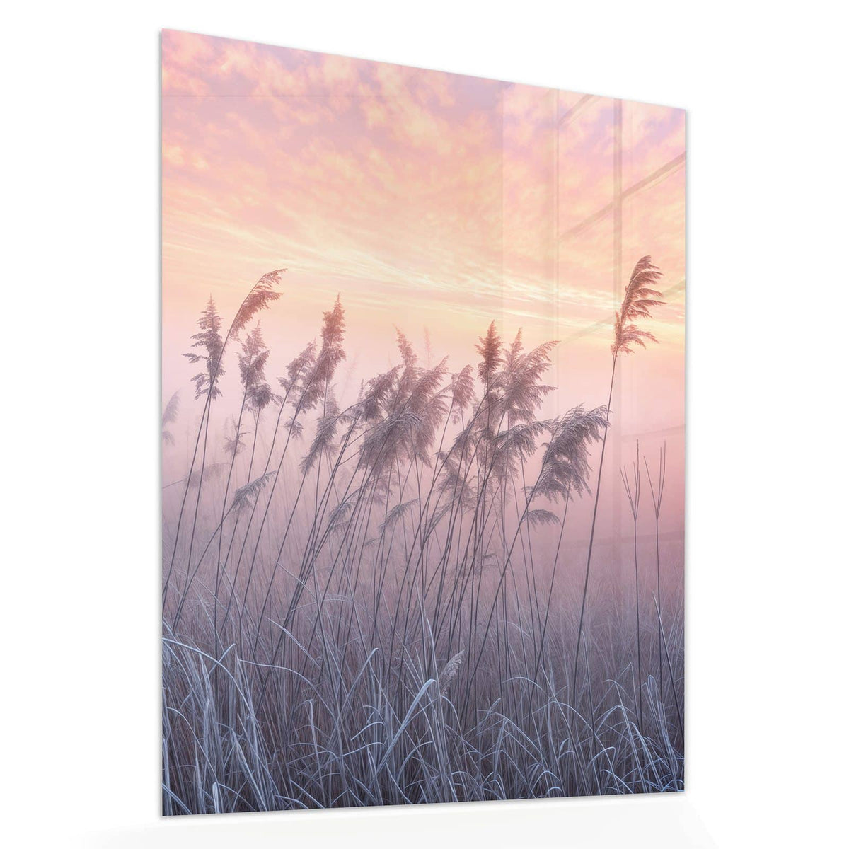 Echtglas, 4 mm – kein Acryl, keine Folie – Wandbild - Schilf im Morgenrot - Hochformat