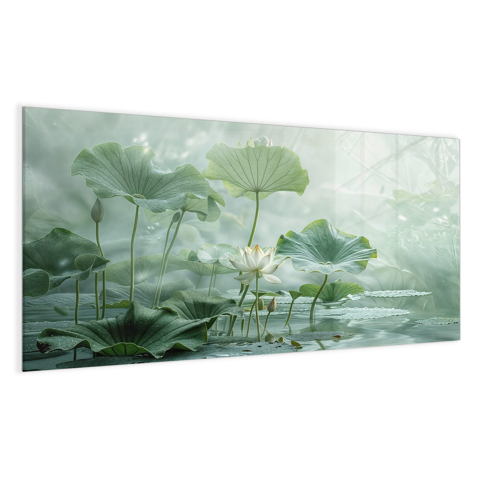 #grösse_100 x 50 cm