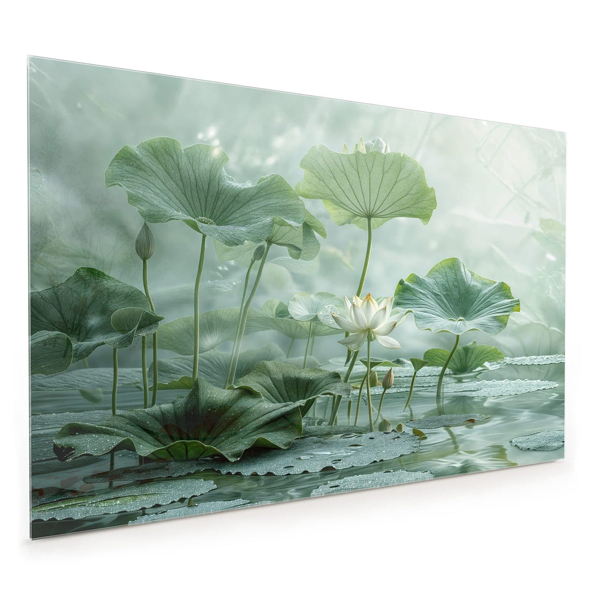 Küchenrückwand aus Glas im Hochformat: Weiße Lotusblüte zwischen großen grünen Lotusblättern über stillem Wasser