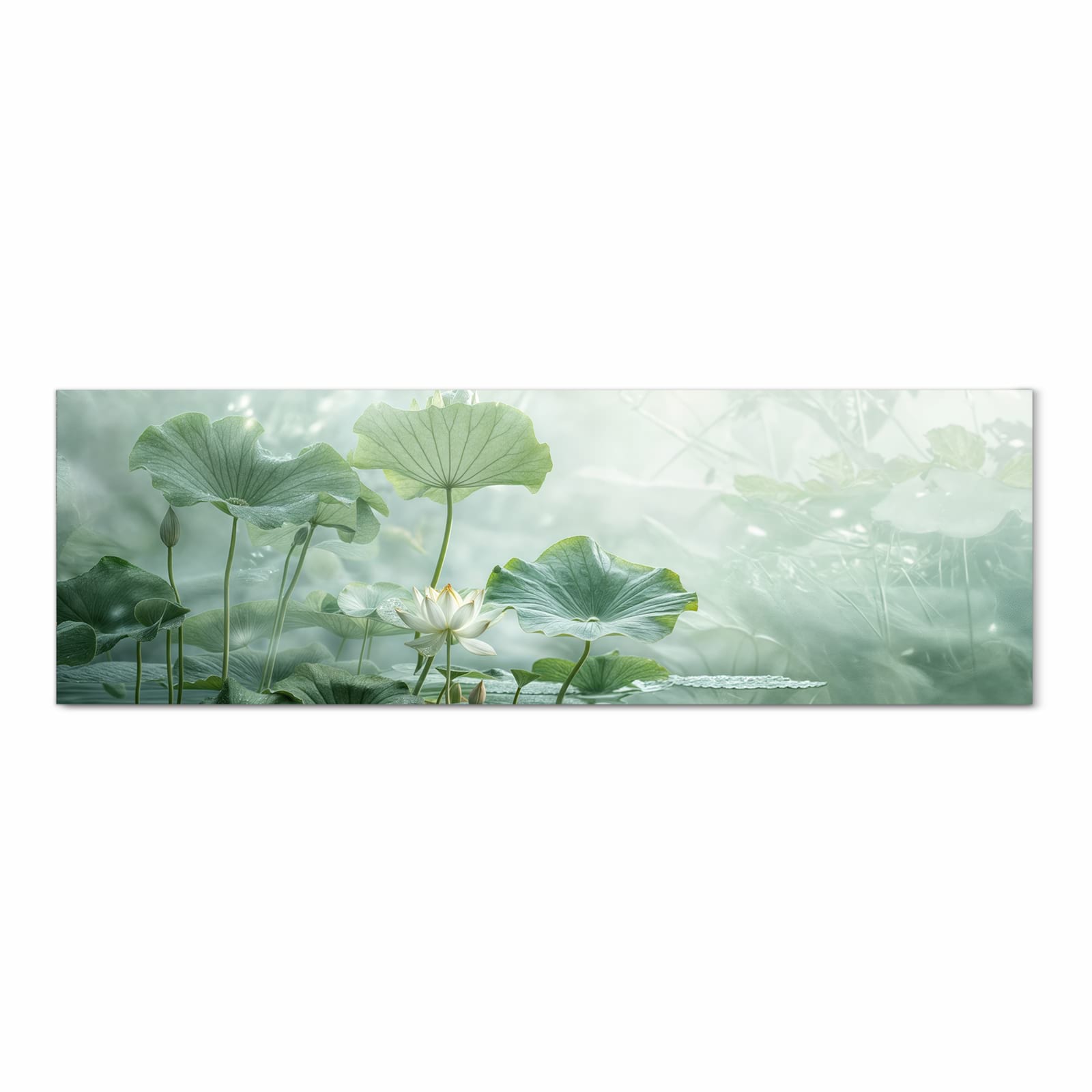 #grösse_80 x 250 cm