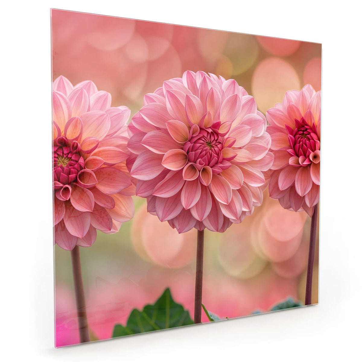 #grösse_40 x 40 cm #grösse_50 x 50 cm #grösse_60 x 60 cm