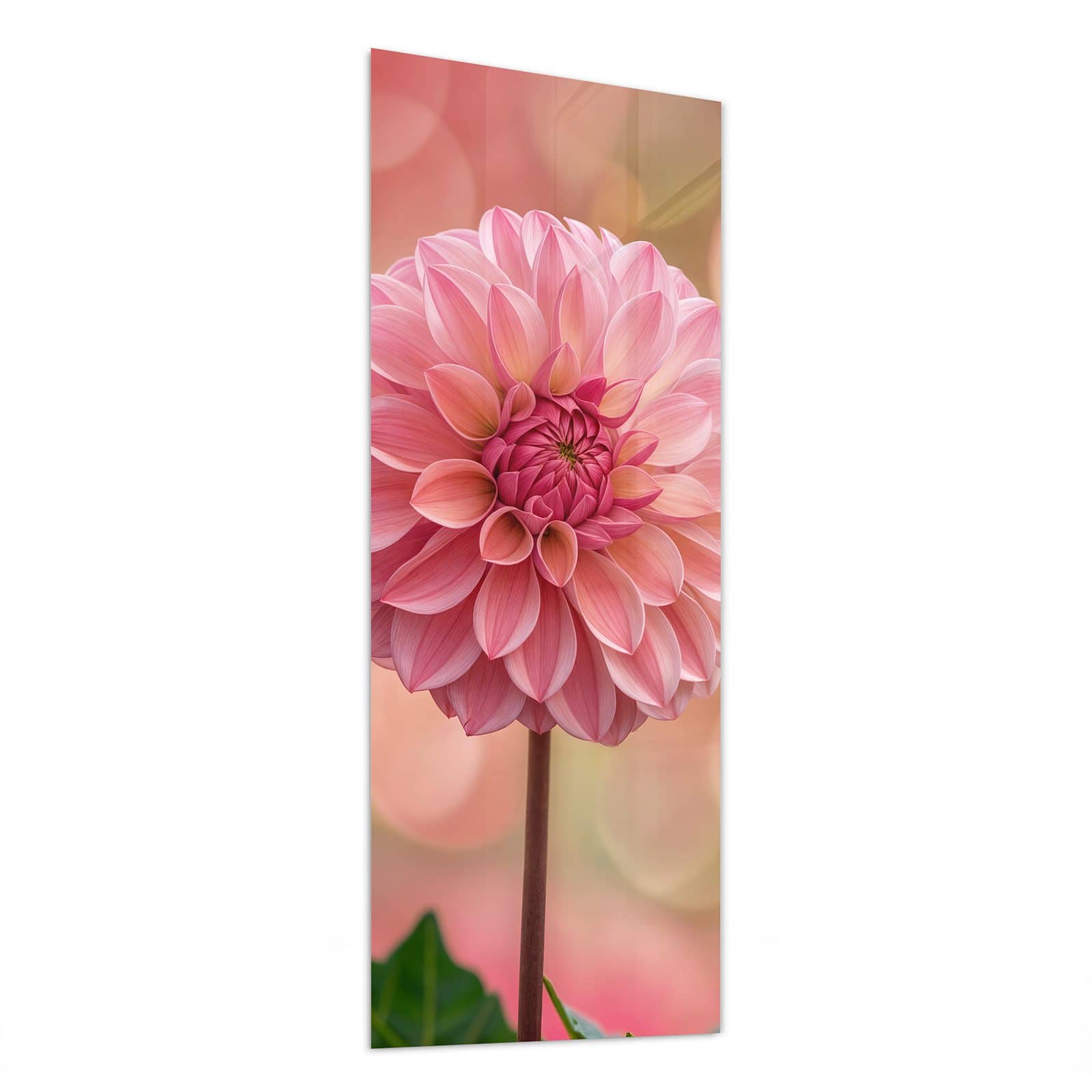 #grösse_50 x 125 cm #grösse_40 x 100 cm #grösse_60 x 150 cm