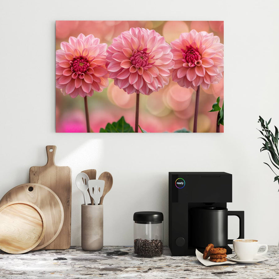 Maße Metall Magnettafel - Drei rosa Dahlien