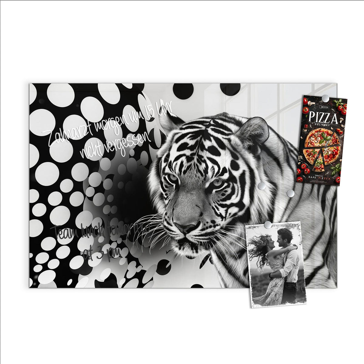 Beschreiben, abwischen, anheften – Magnettafel - Tiger und Kreise
