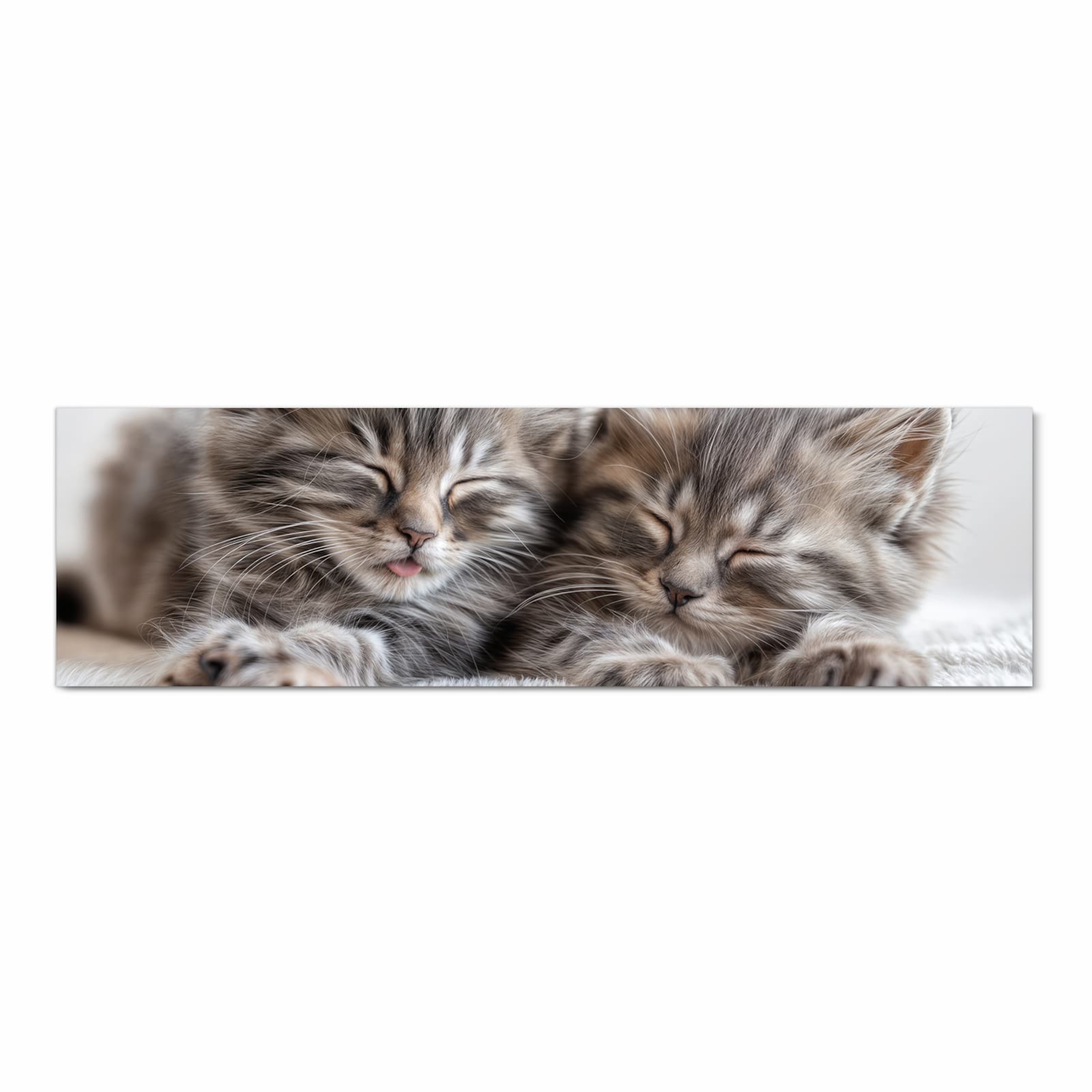 Sicherer Bodenläufer mit Motiv Schlafende Kätzchen in Frontansicht für sichere Aufbewahrung