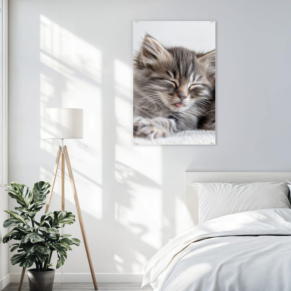 Glasbild Zwei schlafende Kätzchen an der Wand – Zwei getigerte Kätzchen schlafen dicht aneinander auf weißem Fell