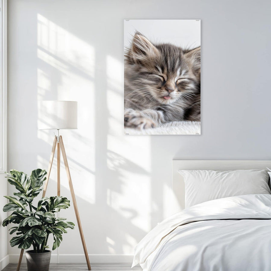 Maße Wandbild - Zwei schlafende Kätzchen - Hochformat