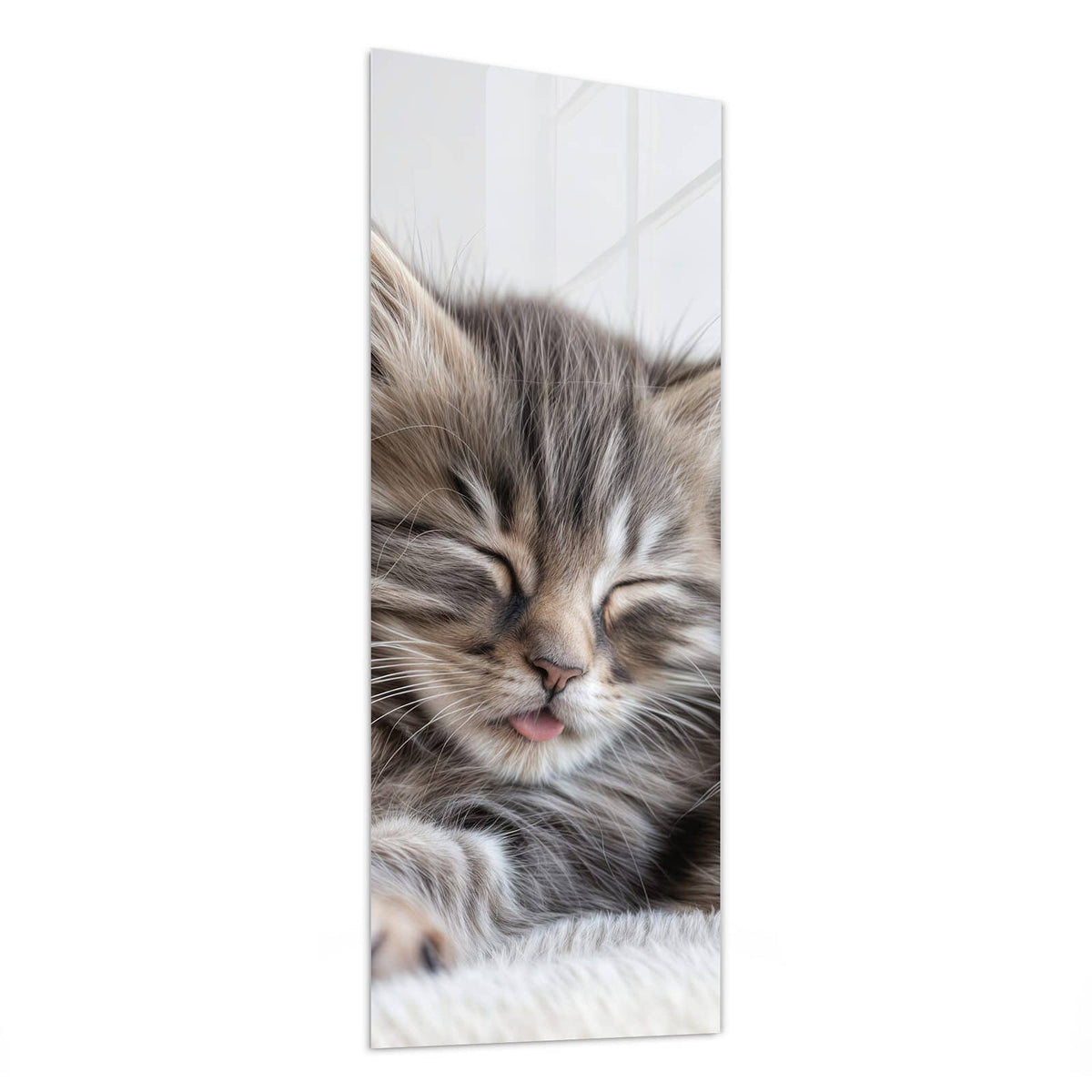 Glasbild Zwei schlafende Kätzchen von der Seite, 4 mm Echtglas