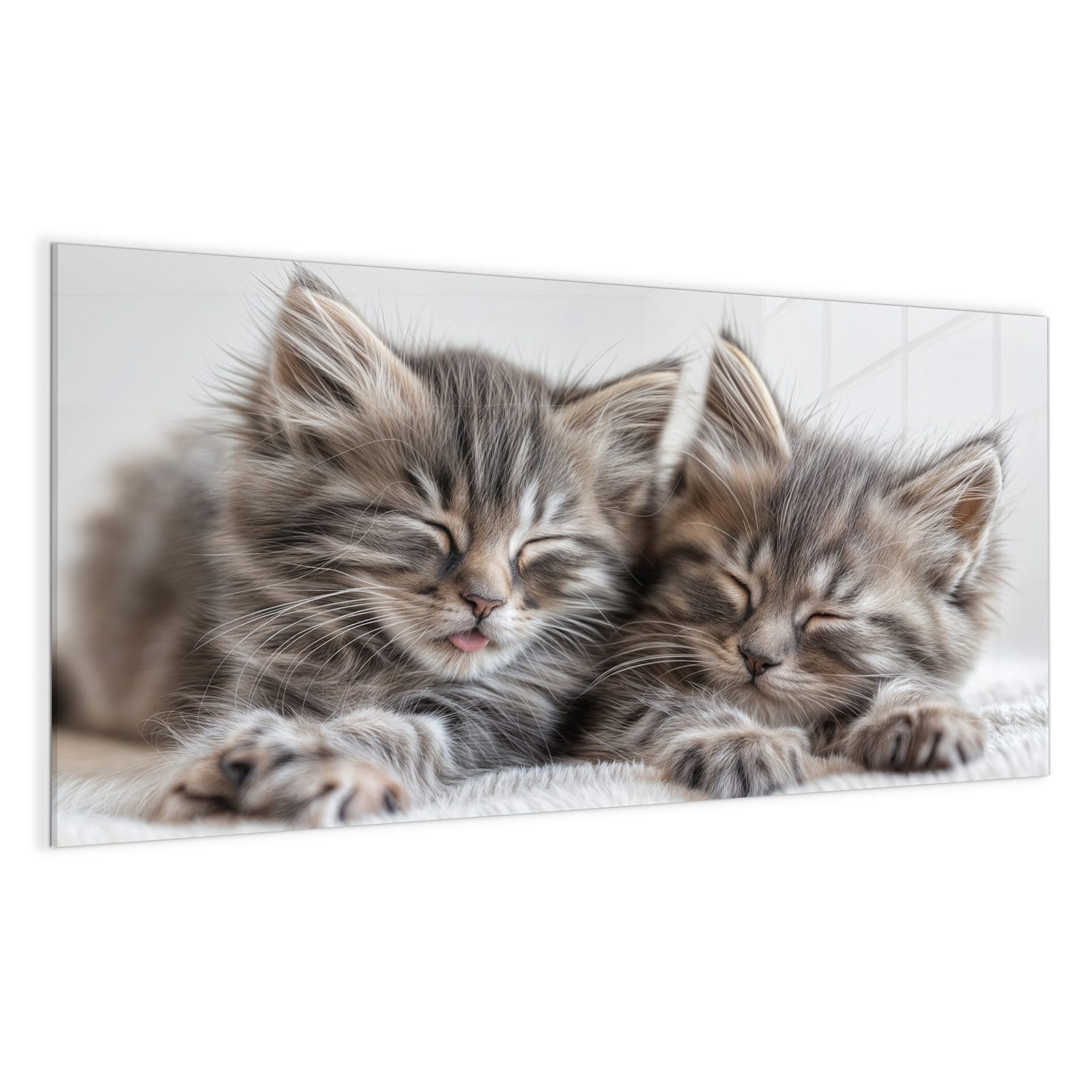 #grösse_100 x 50 cm