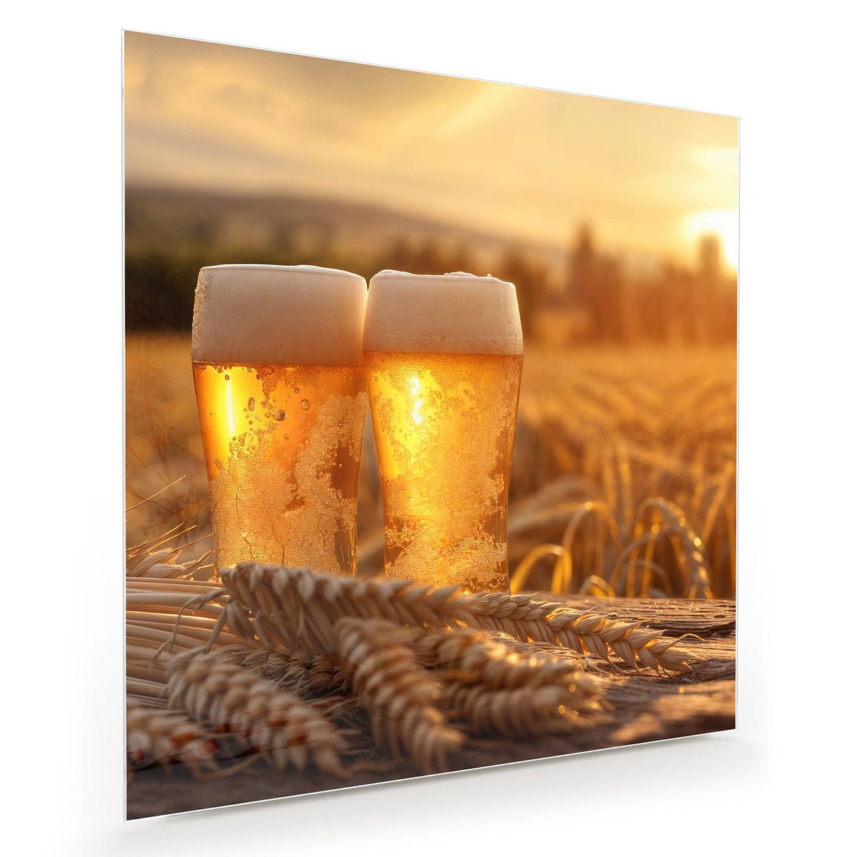 Zwei hohe Biergläser mit Schaumkrone in einem Weizenfeld, tiefstehende Sonne