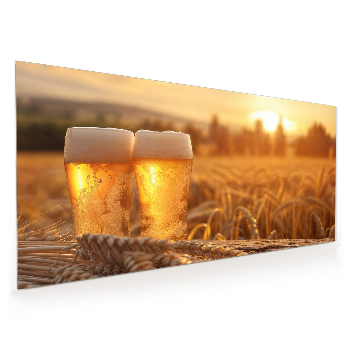 Küchenrückwand aus Glas im Hochformat mit Motiv Biergläser im Kornfeld: Zwei hohe Biergläser mit Schaumkrone in einem Weizenfeld, tiefstehende Sonne