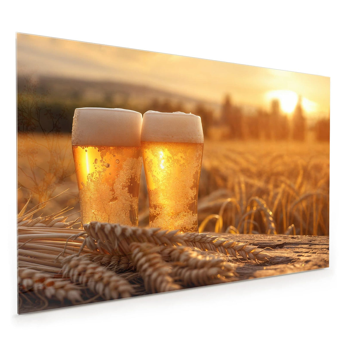 Küchenrückwand aus Glas im Hochformat mit Motiv Biergläser im Kornfeld: Zwei hohe Biergläser mit Schaumkrone in einem Weizenfeld, tiefstehende Sonne