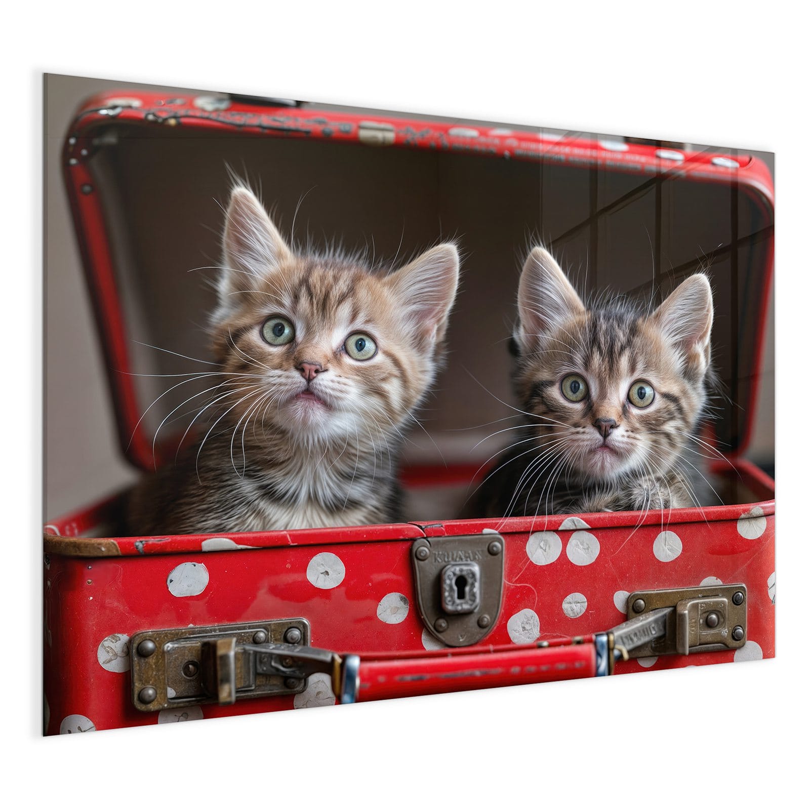 #grösse_120 x 90 cm