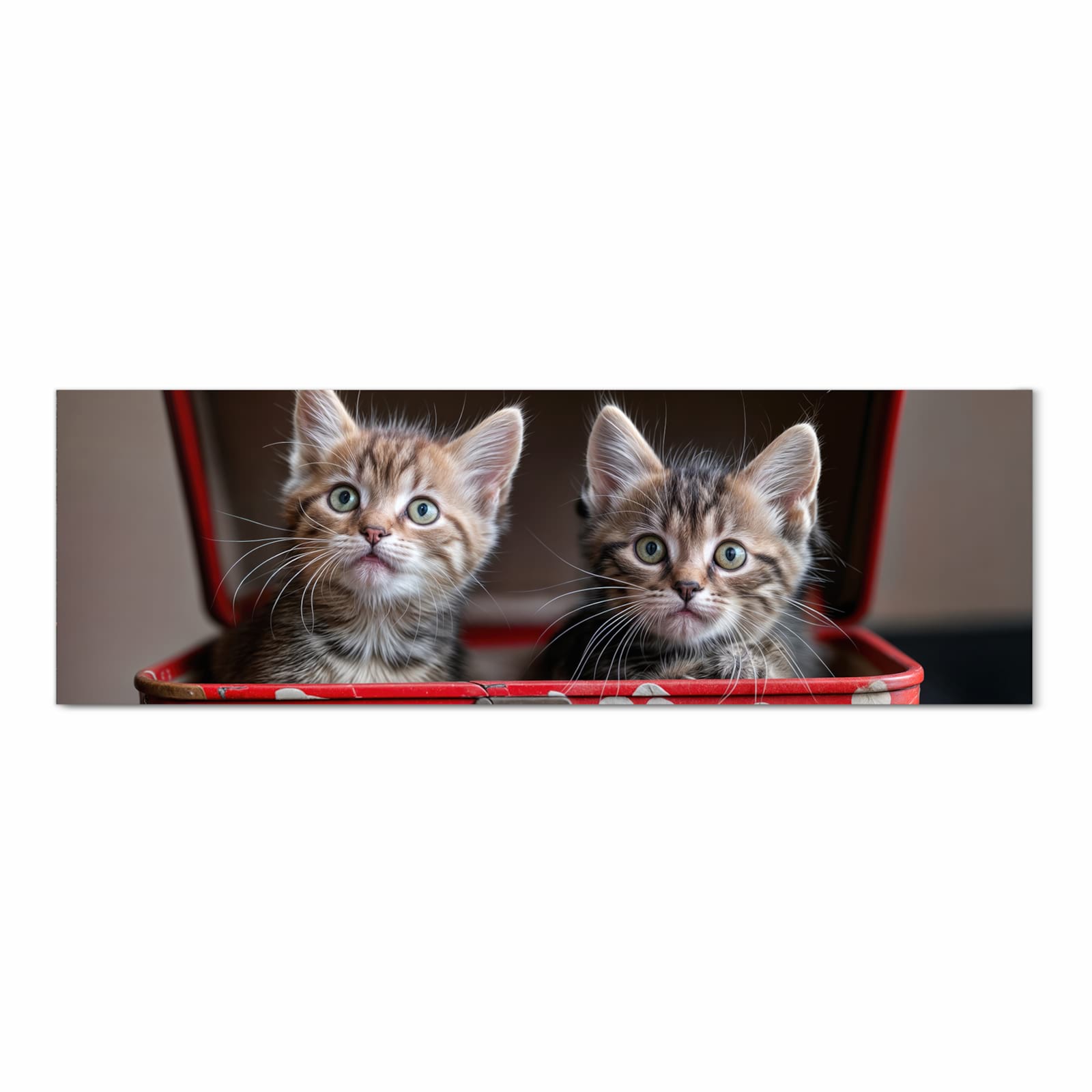 Bodenschonender Küchenteppich mit Motiv Katzen im Koffer in Frontansicht