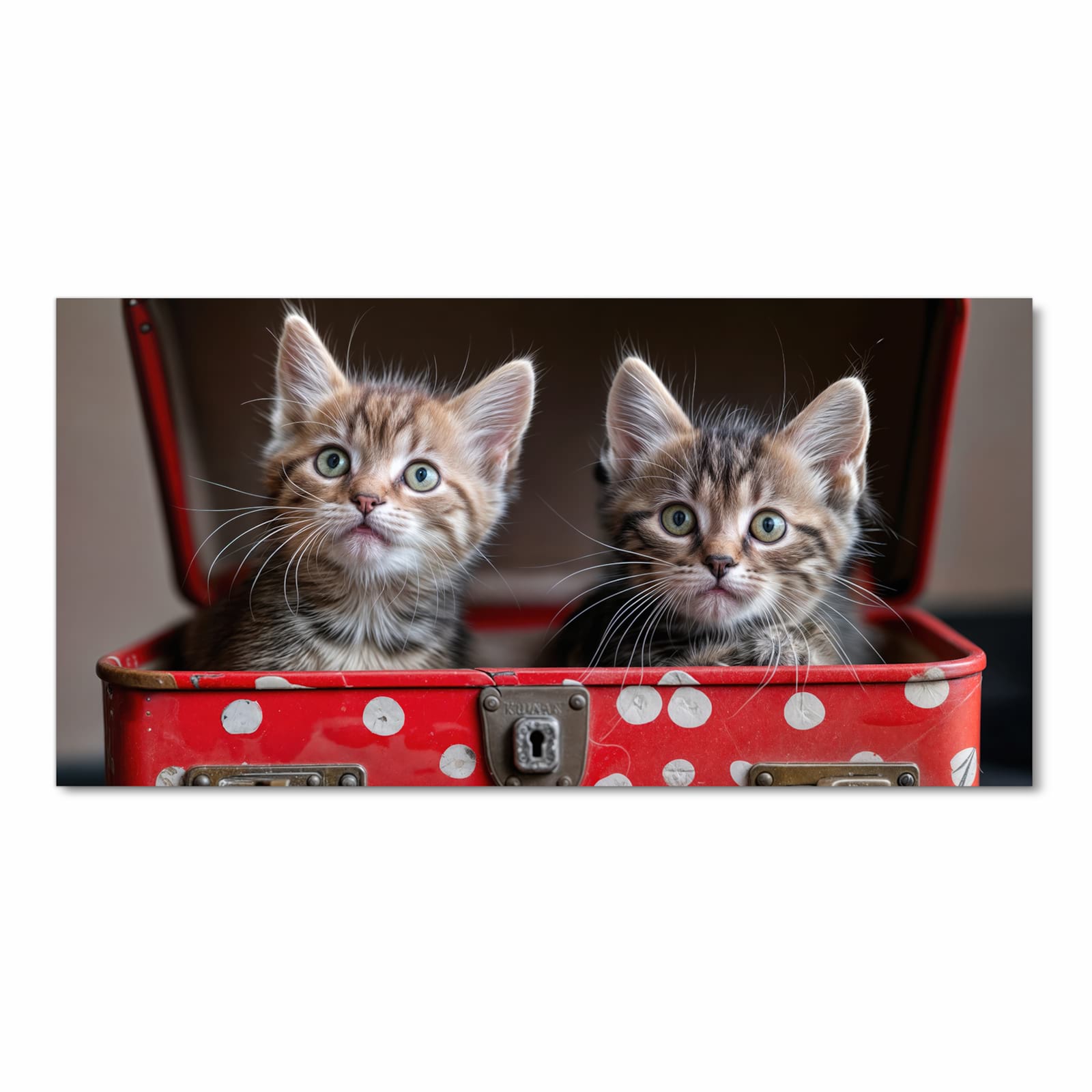 Strapazierfähiger waschbarer Küchenläufer mit Motiv Katzen im Koffer in Frontansicht