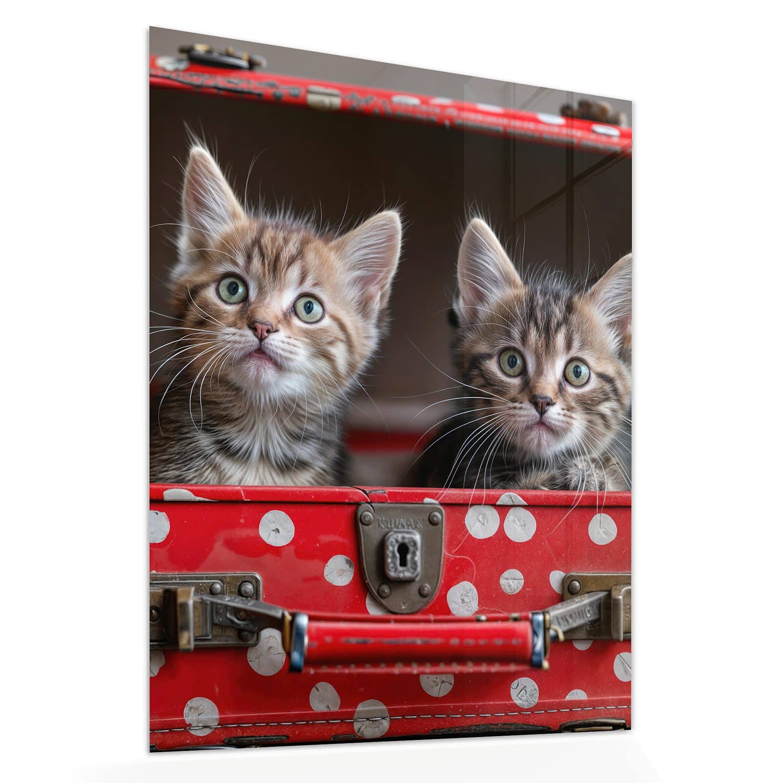 #grösse_60 x 75 cm #grösse_80 x 100 cm