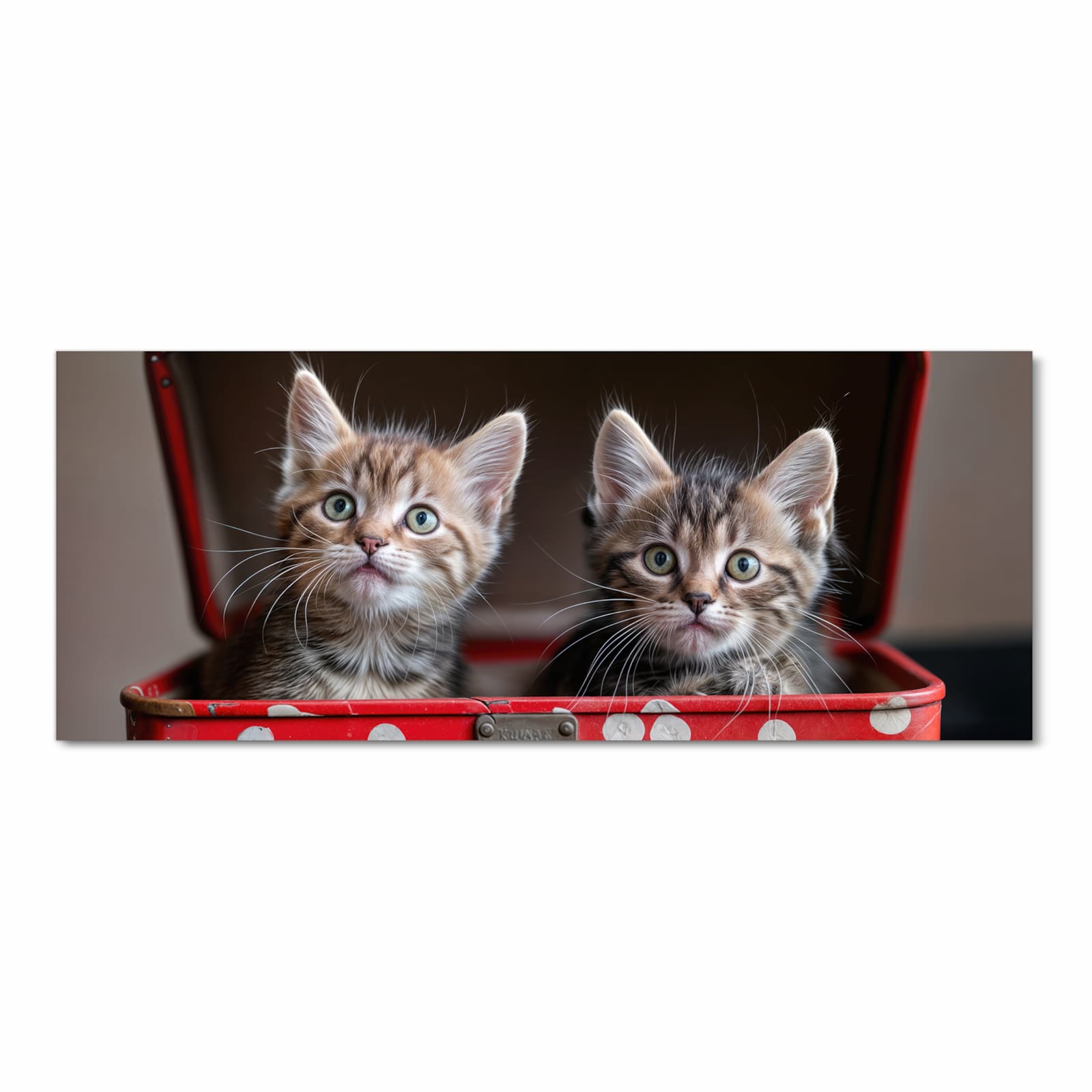 Waschbarer moderner Küchenläufer mit Motiv Katzen im Koffer in Frontansicht